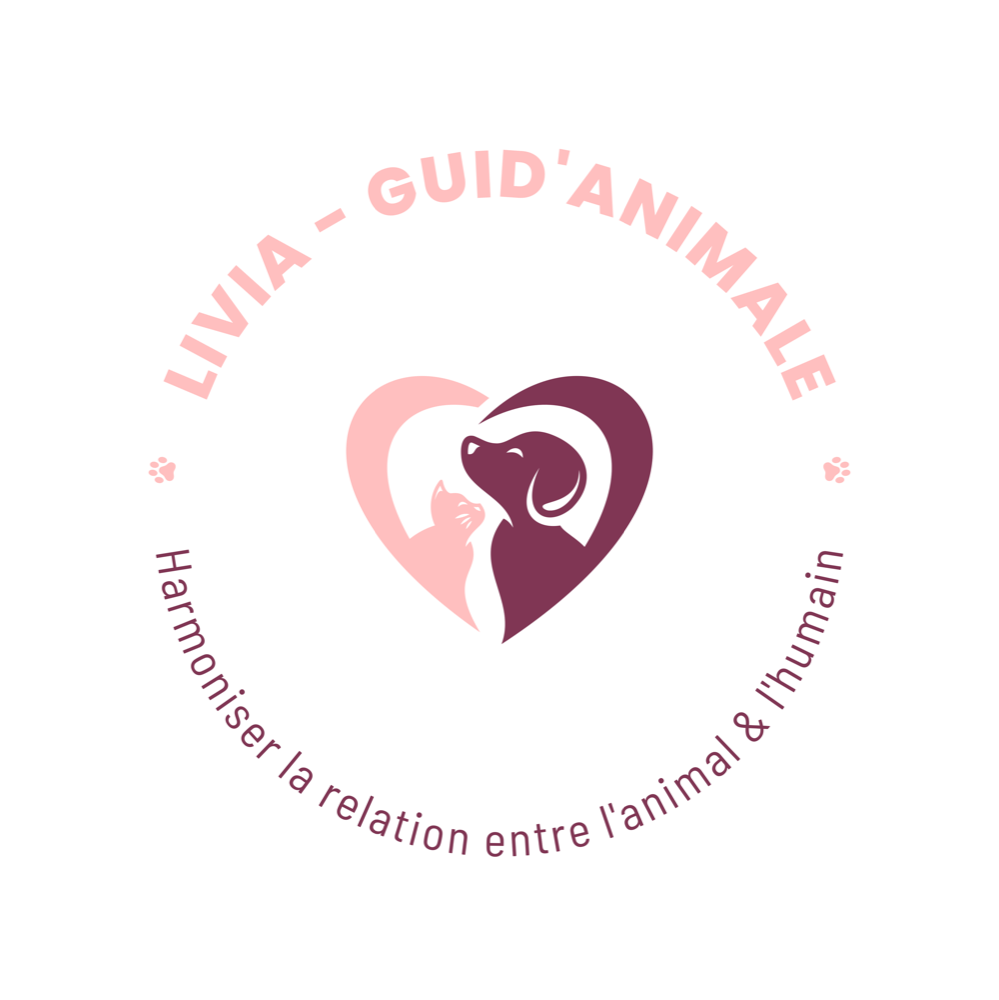 Livia Guid’Animale – harmoniser la relation entre l’animal et l’humain